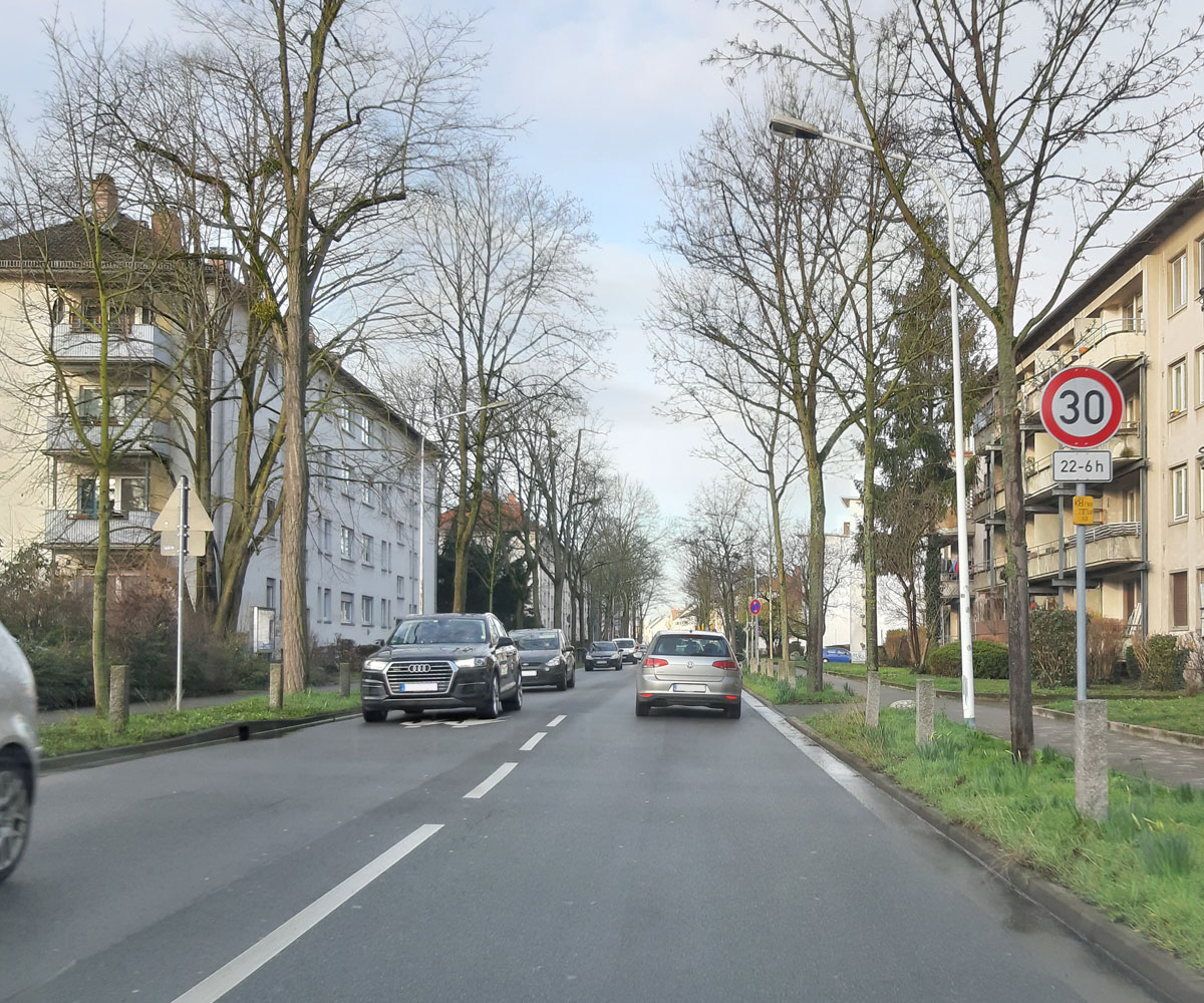 Überhängende Äste Bundesstraße