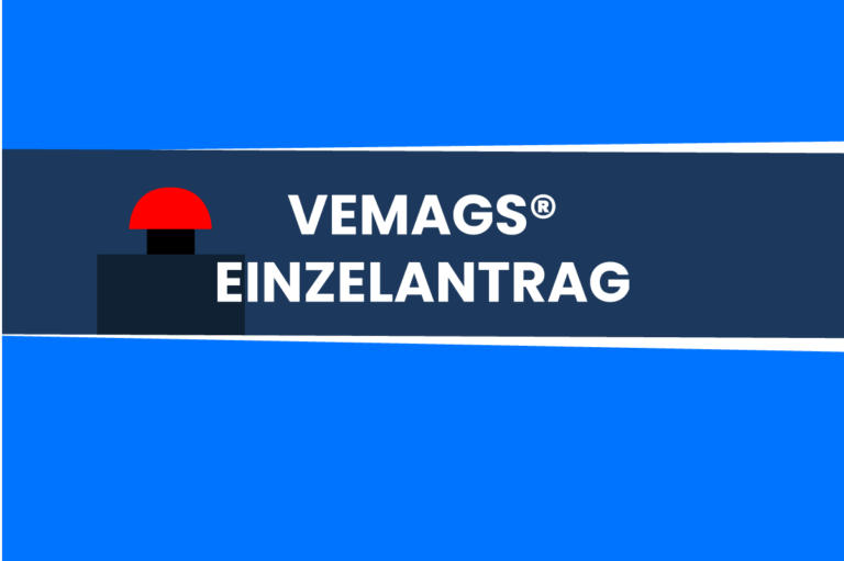 VEMAGS® Antrag ausfüllen: Eine einfache Anleitung [+Bilder]